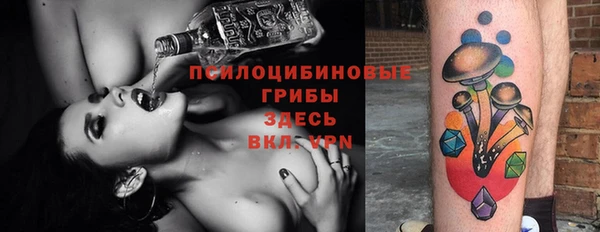 не бодяженный Алексин