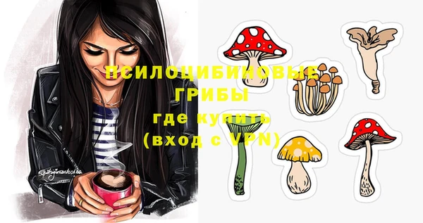 не бодяженный Алексин