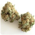 Шишки "White Widow"  (Белая вдова)  Гидропоника -  Бошка VHQ в Андреаполе